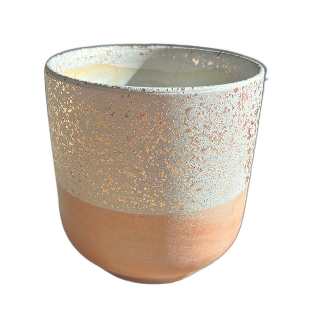 Pink Cosmo Ceramic Pot